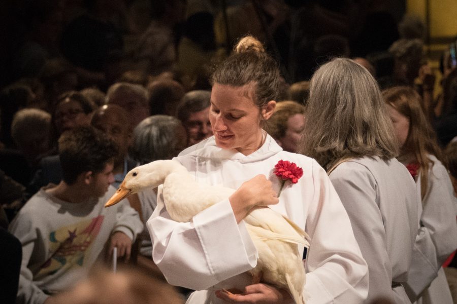 St. Francis at the Cathedral 2018