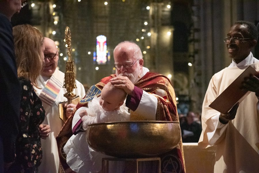 Welcome Steven and Baptisms 2019