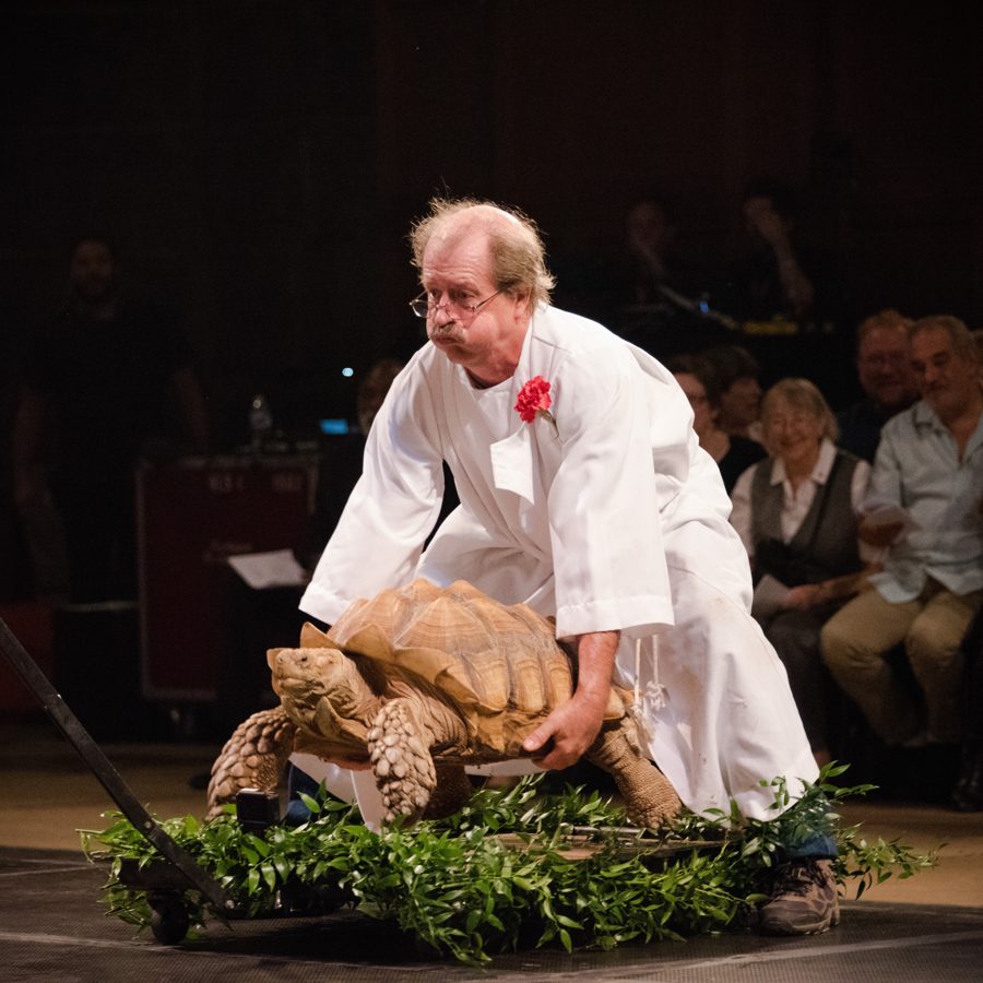 St. Francis at the Cathedral 2018