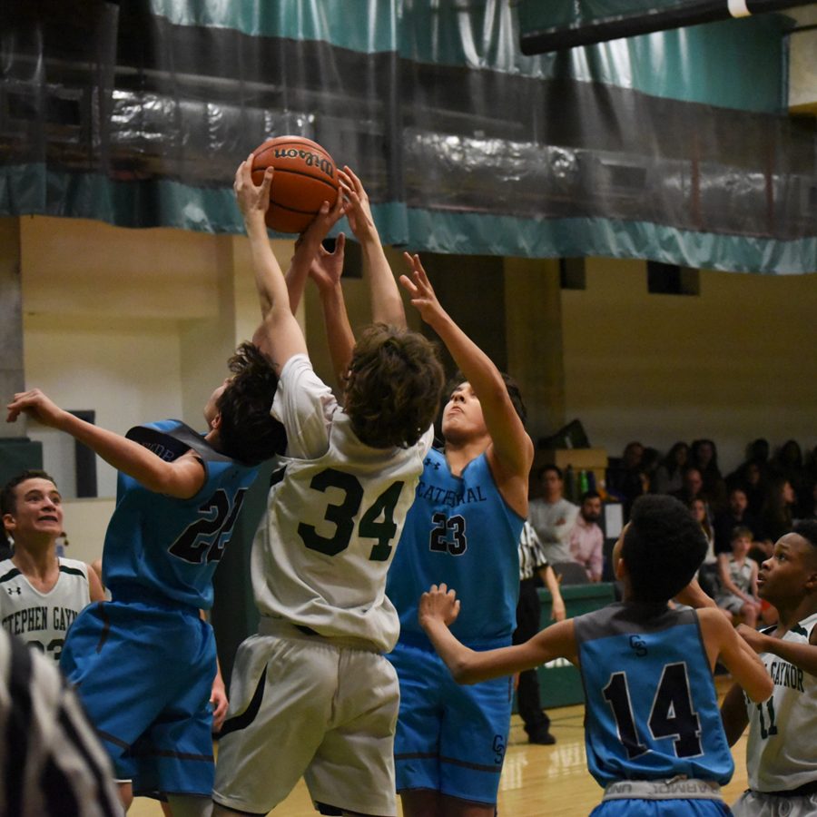 Cathedral Cougar Championship 2019