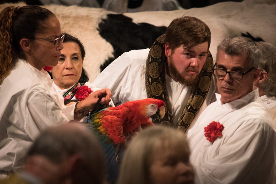 St. Francis at the Cathedral 2018