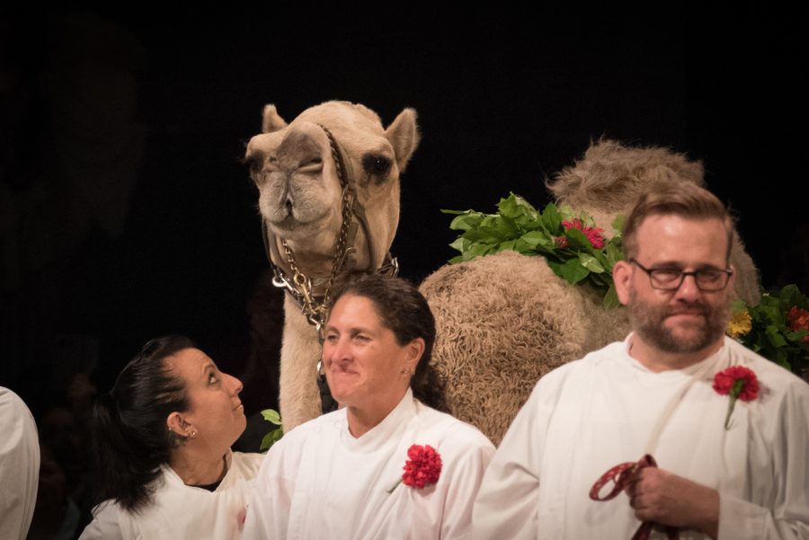 St. Francis at the Cathedral 2018