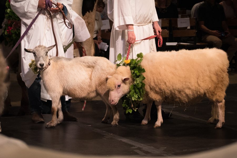 St. Francis at the Cathedral 2018