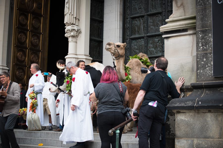 St. Francis at the Cathedral 2018