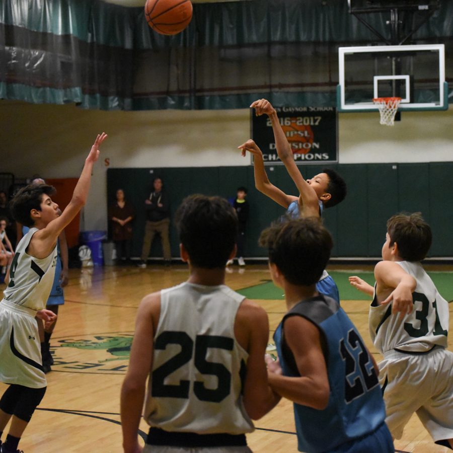 Cathedral Cougar Championship 2019