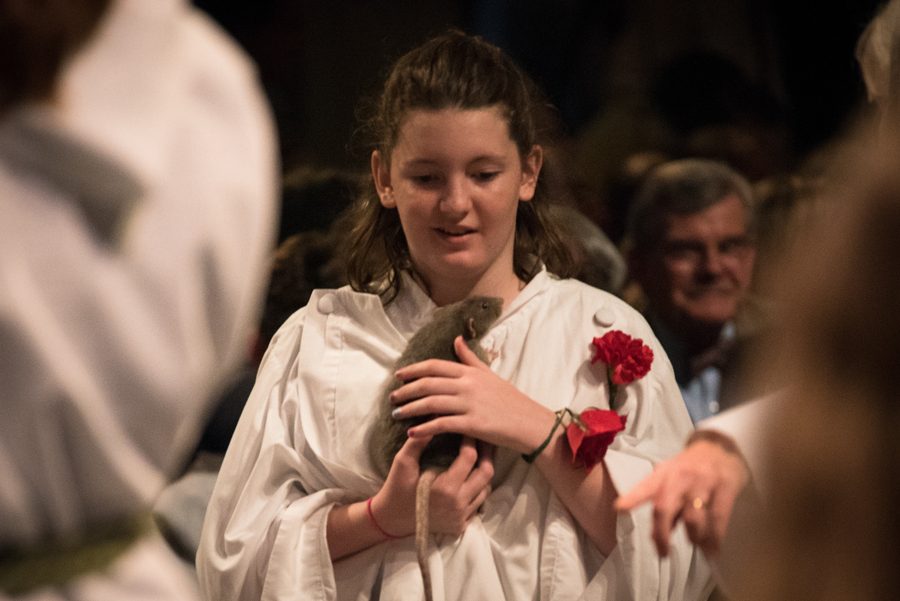 St. Francis at the Cathedral 2018