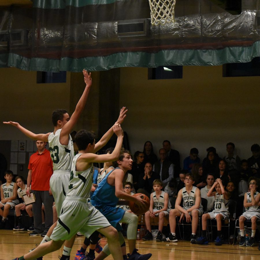 Cathedral Cougar Championship 2019