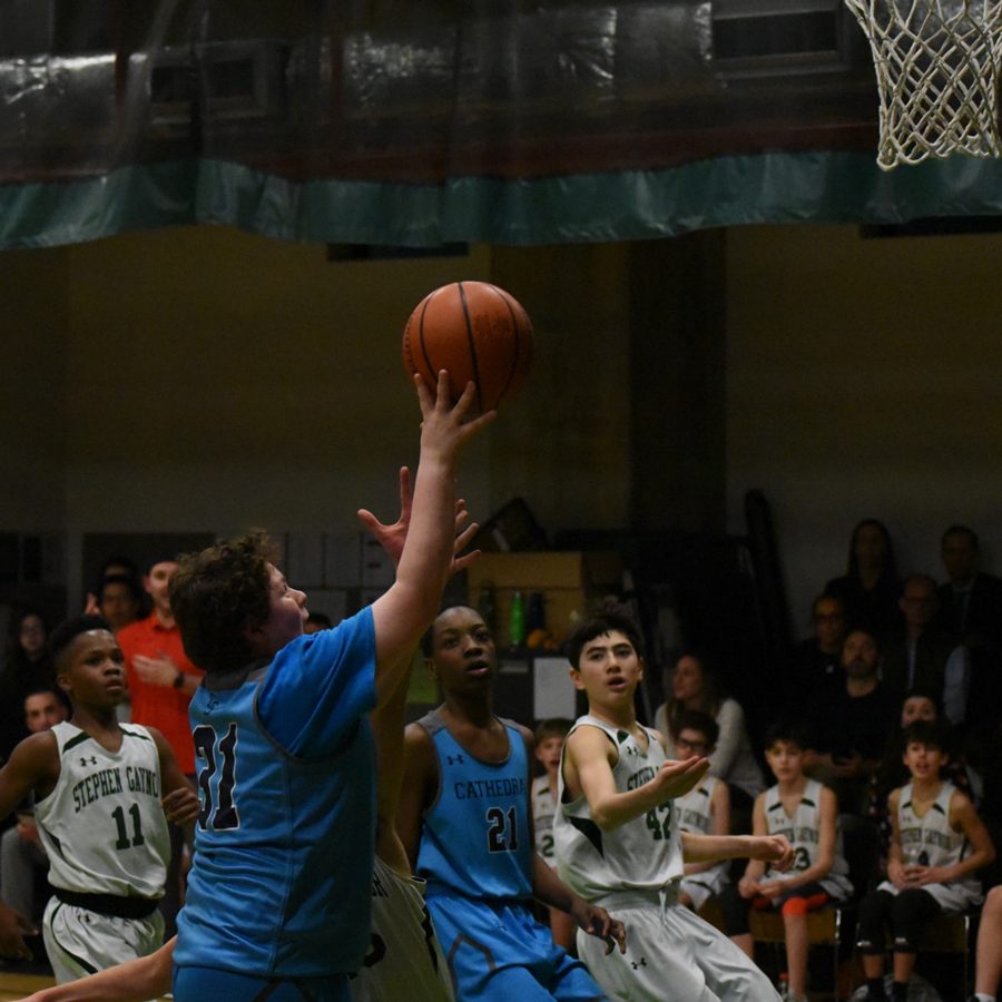 Cathedral Cougar Championship 2019